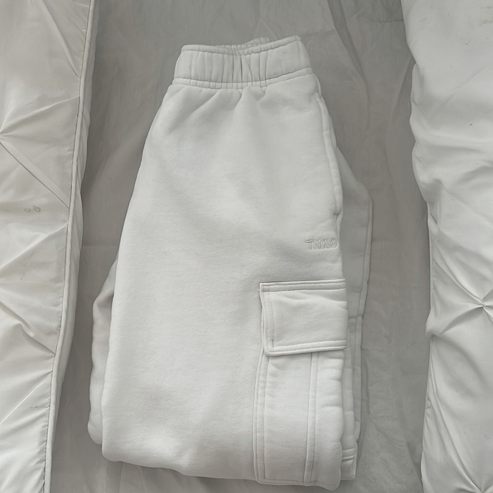 ARITZIA cargo sweatpants.